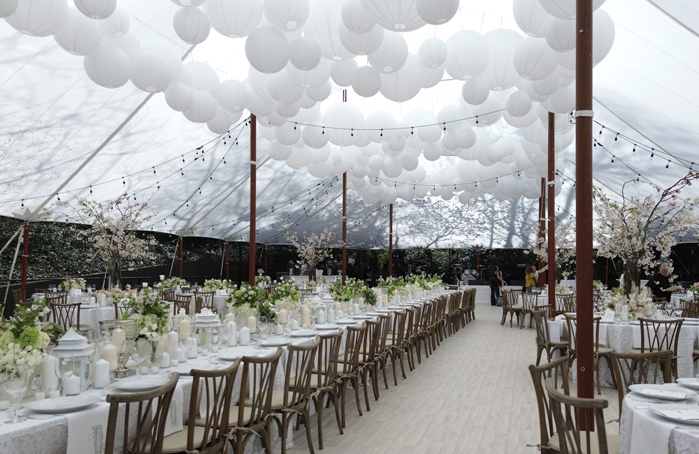 Image 104 1000 X 650