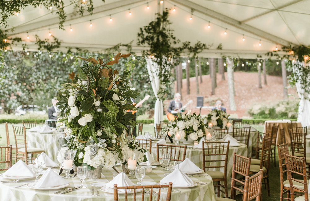 Image 110 1000 X 650