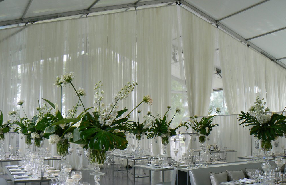 Image 116 1000 X 650