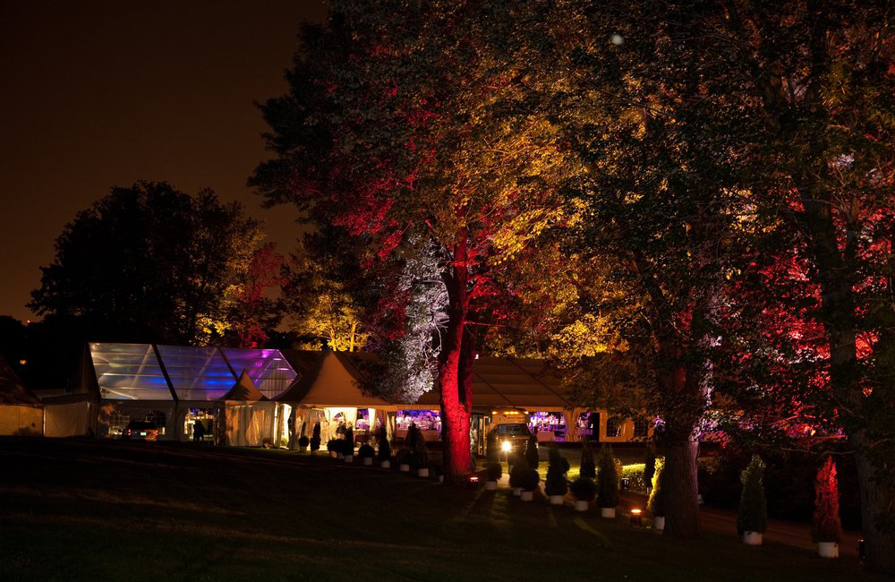 Image 126 1000 X 650