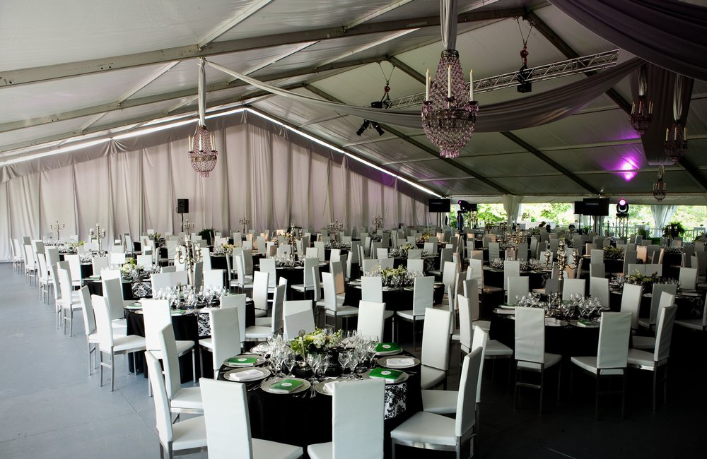 Image 132 1000 X 650