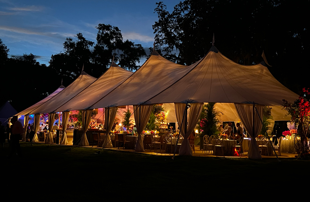 Image 142 1000 X 650