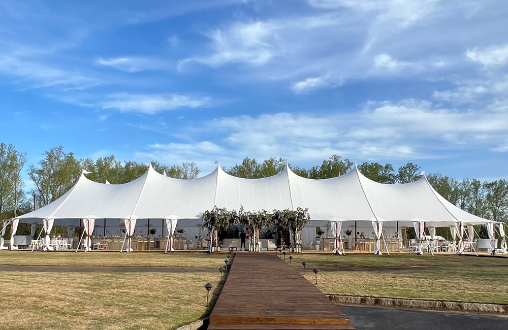 Image 146 1000 X 650