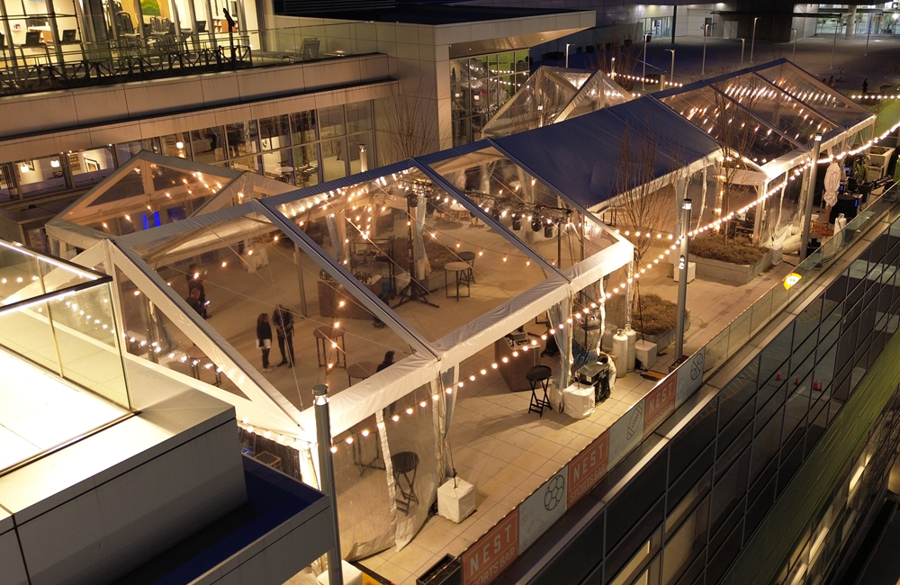 Image 152 1000 X 650