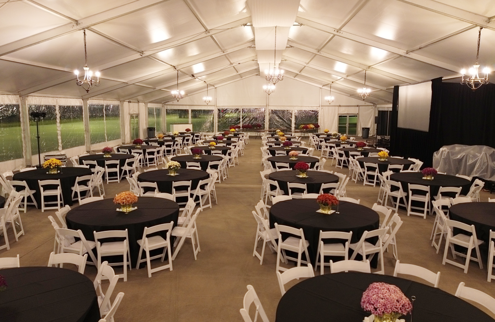 Image 156 1000 X 650