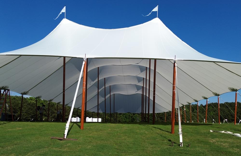 Image 162 1000 X 650